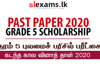 Grade 5 Scholarship Past Papers 2020 with Marking Schemes – Tamil Medium