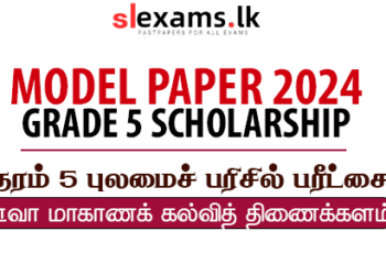Grade 5 Model Paper (Tamil Medium) - Uva Province 2024