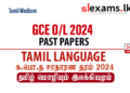 2024 GCE O/L Tamil Language Past Papers