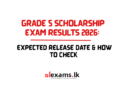 Grade 5 Scholarship Exam Results 2026: Expected Release Date