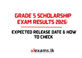 Grade 5 Scholarship Exam Results 2026: Expected Release Date