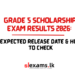 Grade 5 Scholarship Exam Results 2026: Expected Release Date