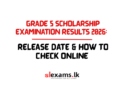 Grade 5 Scholarship Results 2026 Date & Online Link