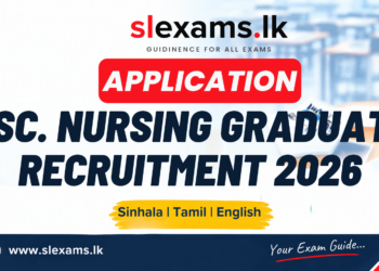Ministry of Health Calls for Applications for B.Sc. Nursing Graduate Recruitment 2026